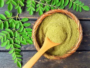 Moringa : vertus nutritionnelles et bienfaits santé de ce superaliment