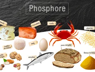 Phosphore : rôle, besoins et sources alimentaires