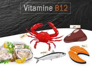 Vitamine B12 (cobalamine) : Rôle et sources alimentaires