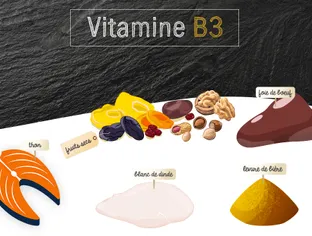 Vitamine B3 ou PP ou niacine