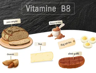 Vitamine B8 ou H ou biotine