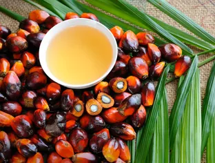L'huile de palme, une amie de l'été