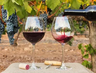 Le vin est-il bon pour le cœur ?