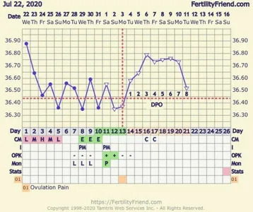 Would you ladies say this was an implantation dip? bbt chart attached