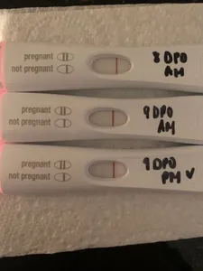 10 дпо тест на беременность