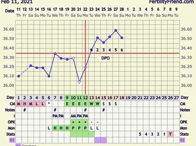 LH surge after bbt spike?